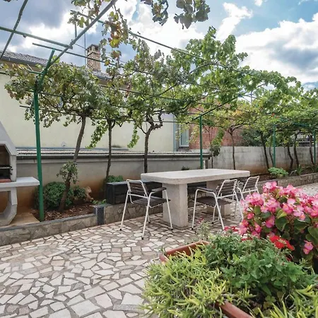 Apartment Cozy In With Kitchen Pula